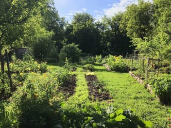 Boostez votre jardin en septembre avec nos conseils pratiques