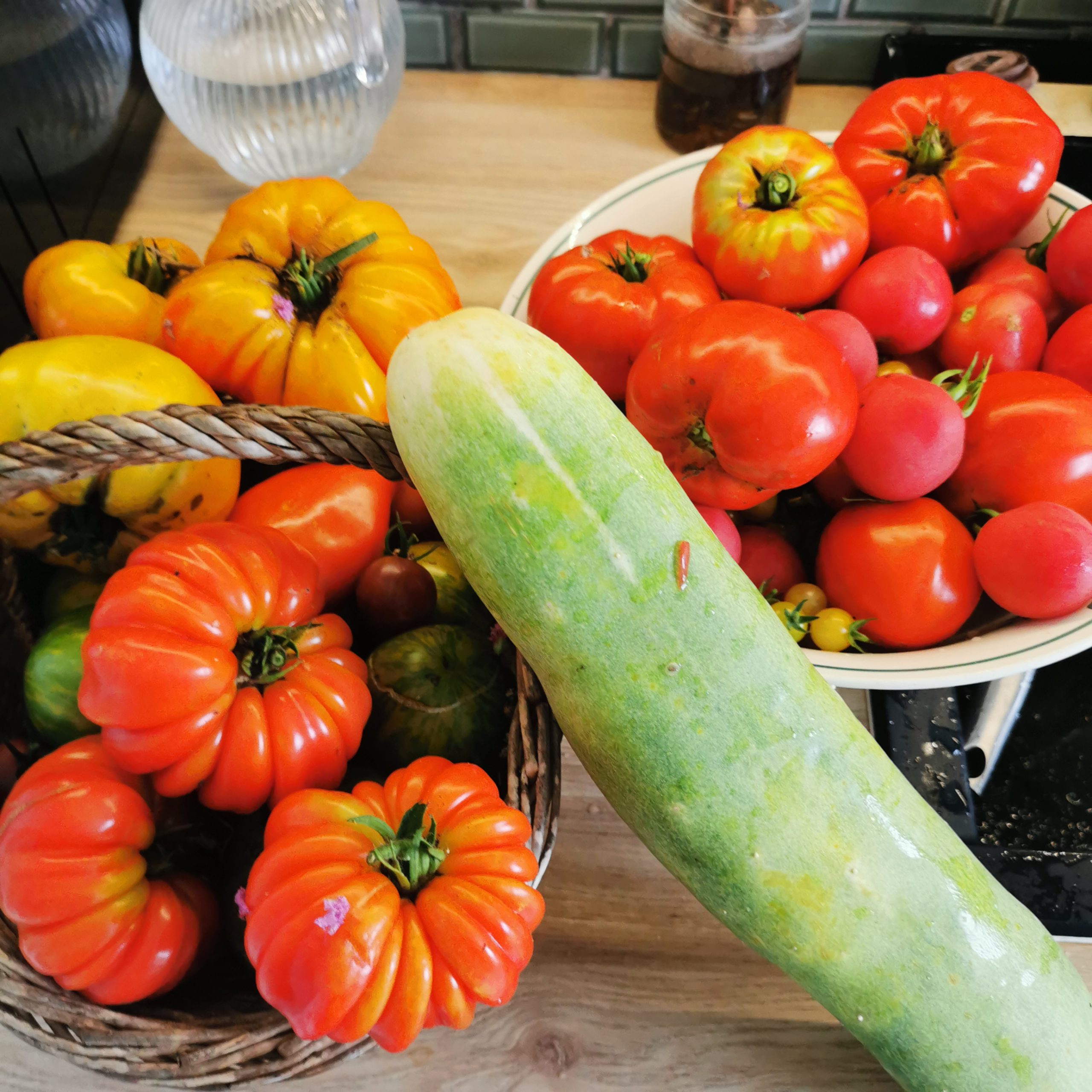 Comment récupérer ses propres graines de courgettes pour un potager autonome