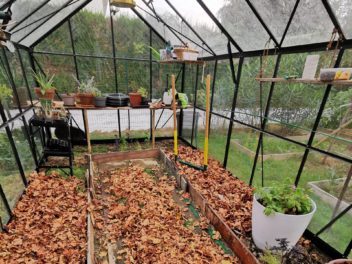 Préparer son potager en octobre : astuces et conseils