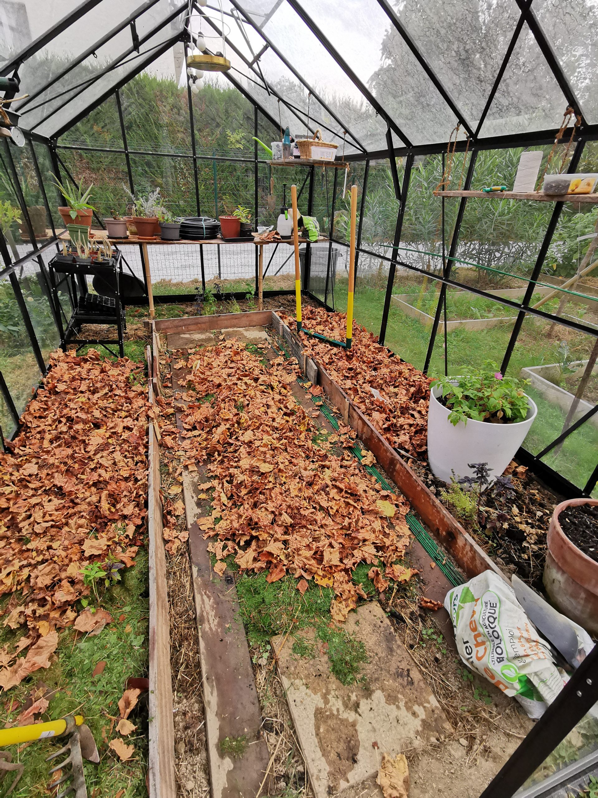 Préparer son potager en octobre : astuces et conseils