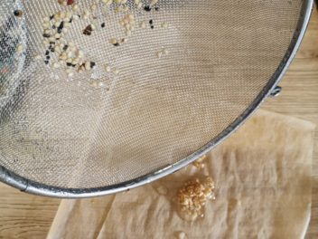 Comment récolter et conserver vos graines de tomates pour être autonome