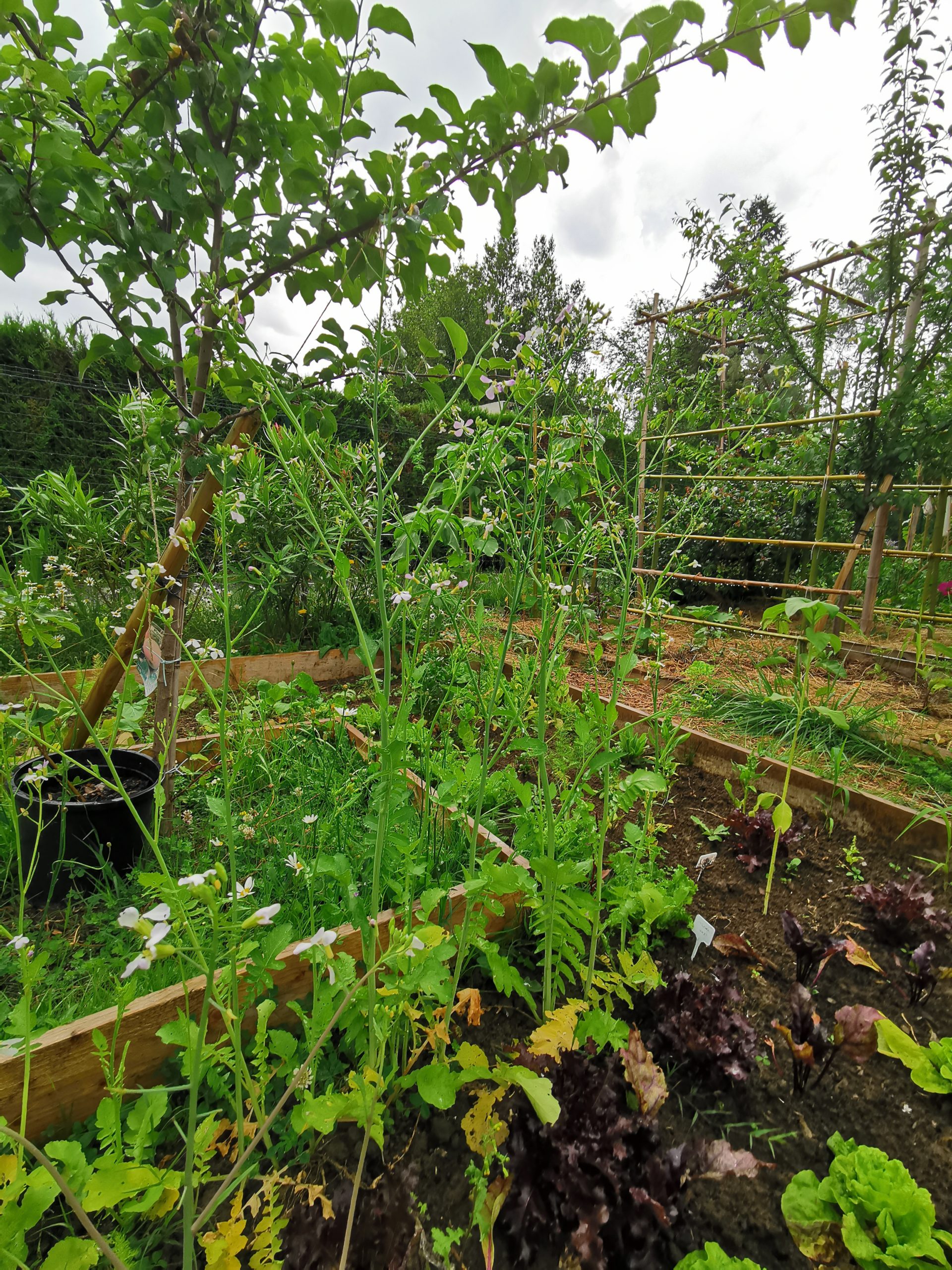 Pourquoi planter en automne : le secret des jardiniers