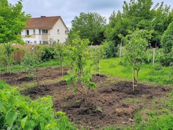Planter ses arbres et arbustes en toute confiance cet automne