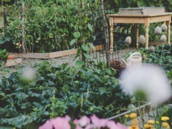 Stocker vos légumes racines sans cave : l’astuce du tambour de machine à laver recyclé
