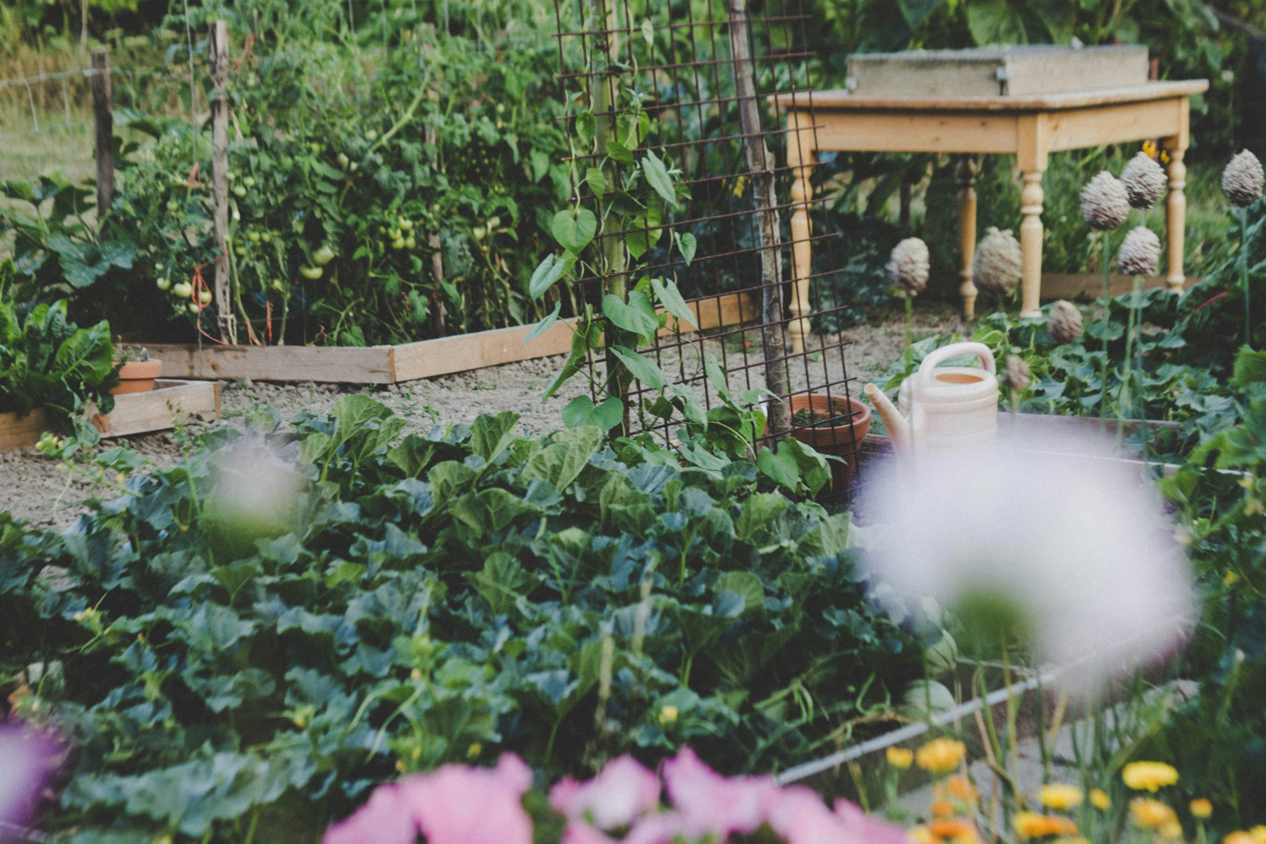 Stocker vos légumes racines sans cave : l’astuce du tambour de machine à laver recyclé