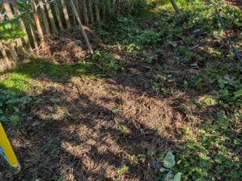 Préparer son jardin en novembre : astuces pour un potager bien protégé avant l’hiver
