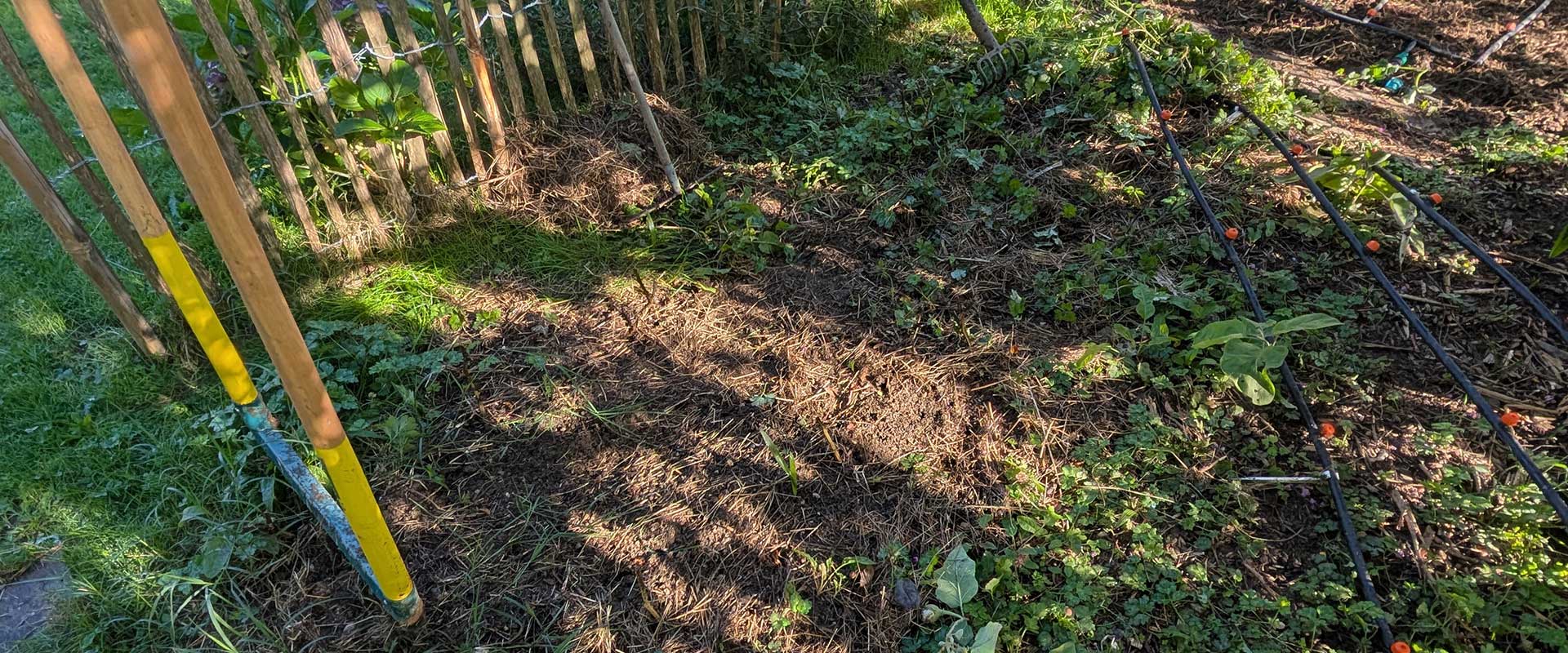 Préparer son jardin en novembre : astuces pour un potager bien protégé avant l’hiver